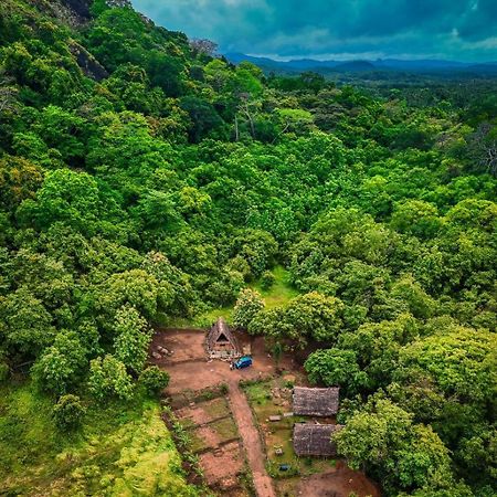 The Forest Edge Resort 丹不拉 外观 照片