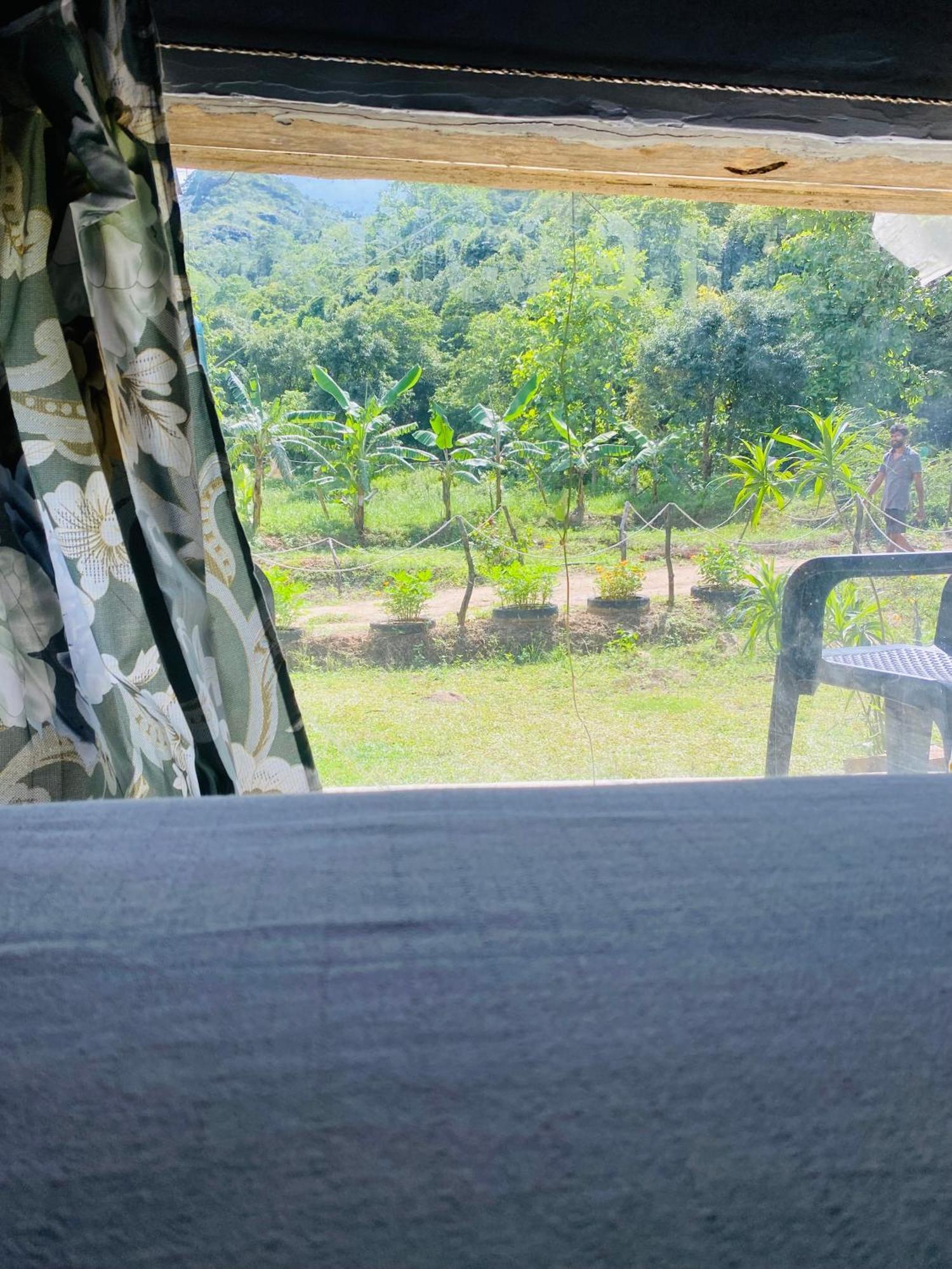 The Forest Edge Resort 丹不拉 外观 照片