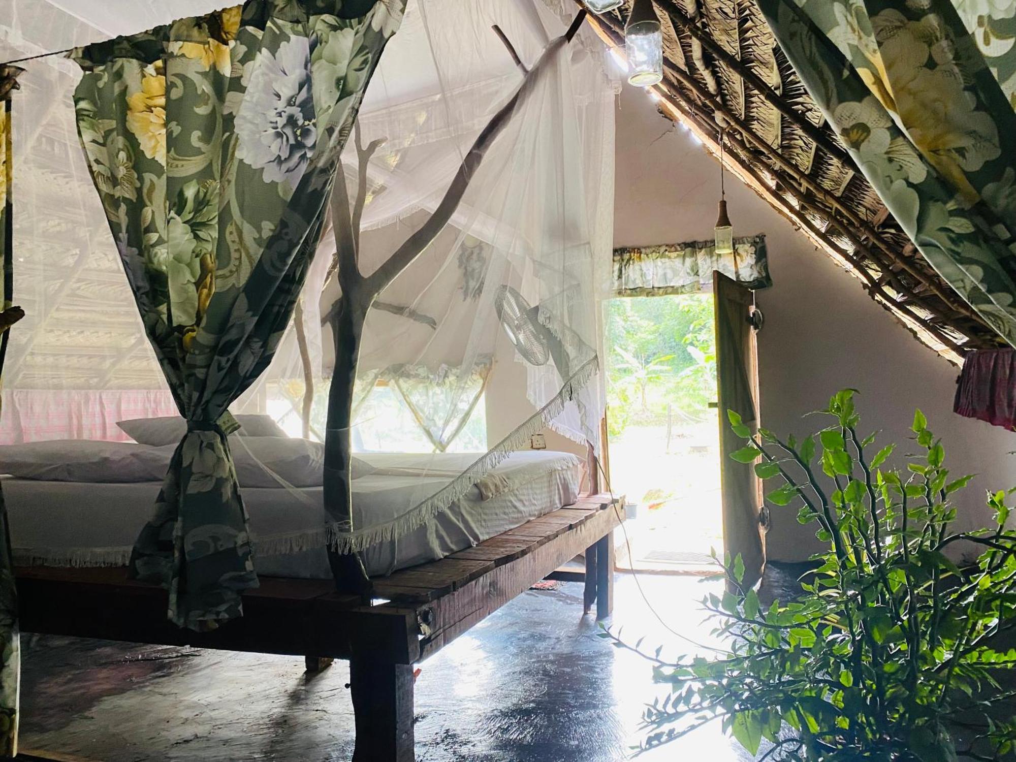 The Forest Edge Resort 丹不拉 外观 照片