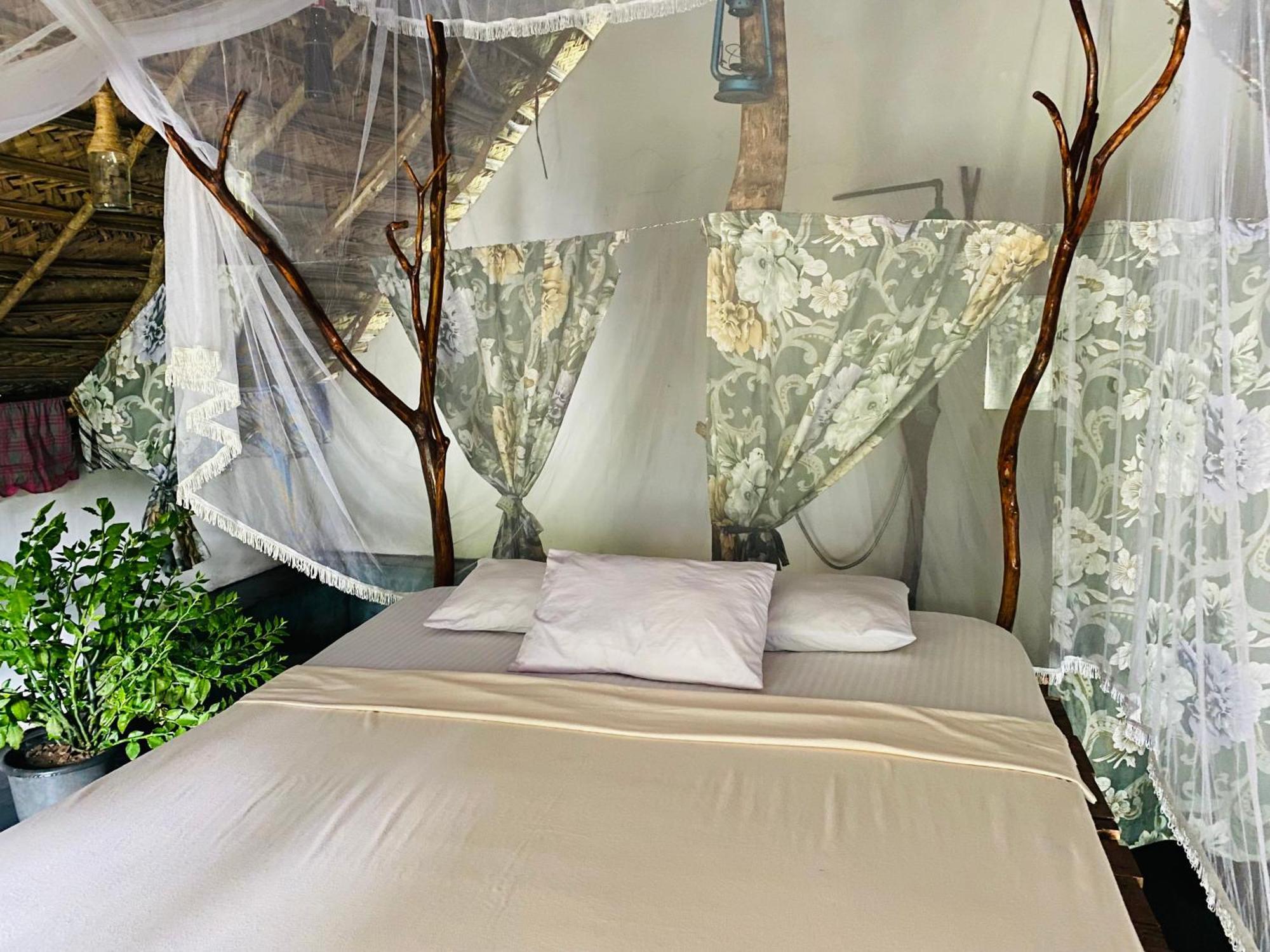 The Forest Edge Resort 丹不拉 外观 照片